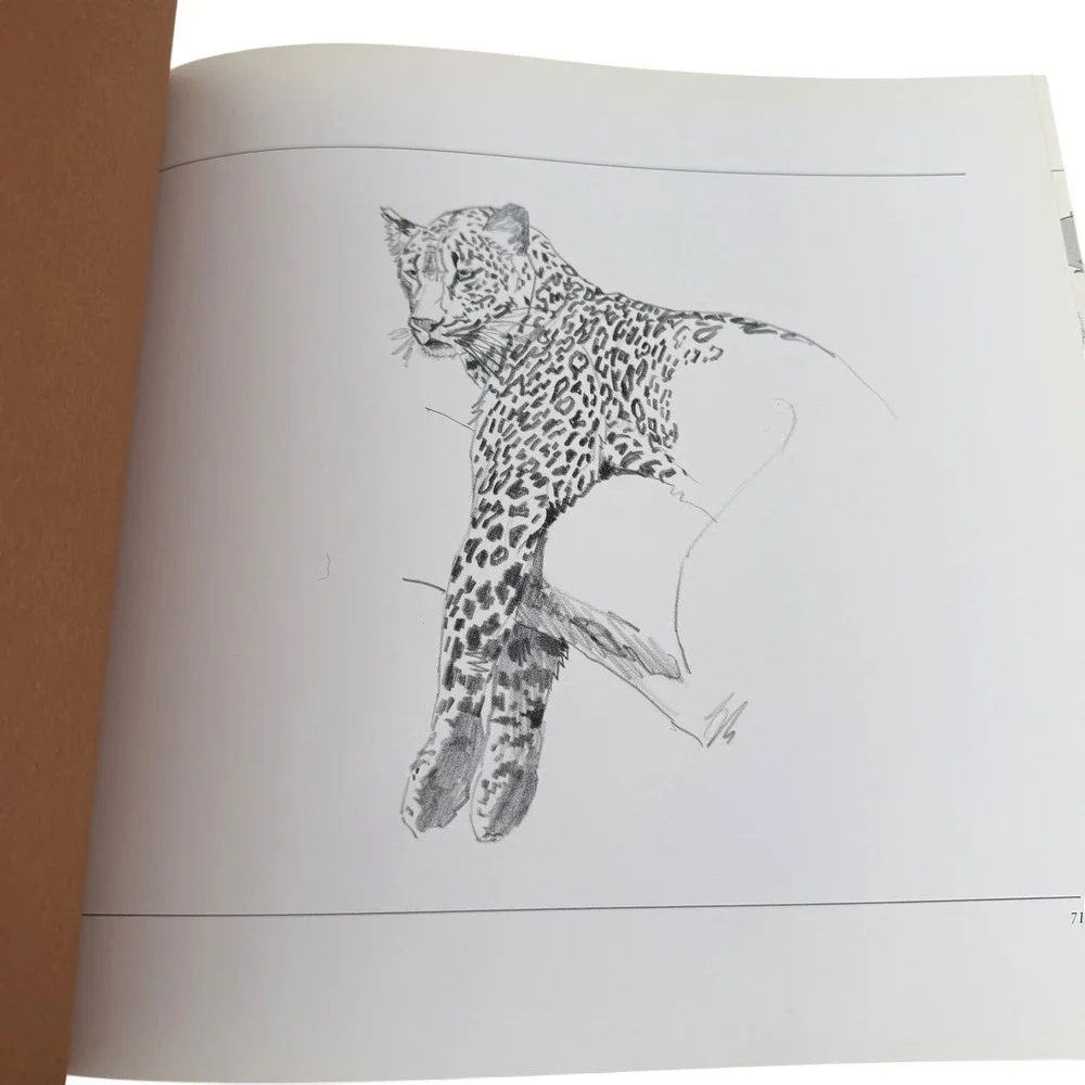 VTG The Big Cats The Paintings of Guy Coheleach Nancy Neff 1982‎ Hardcover Book